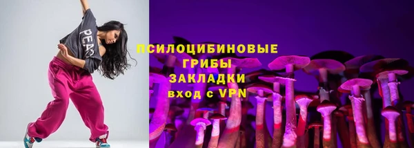 не бодяженный Надым